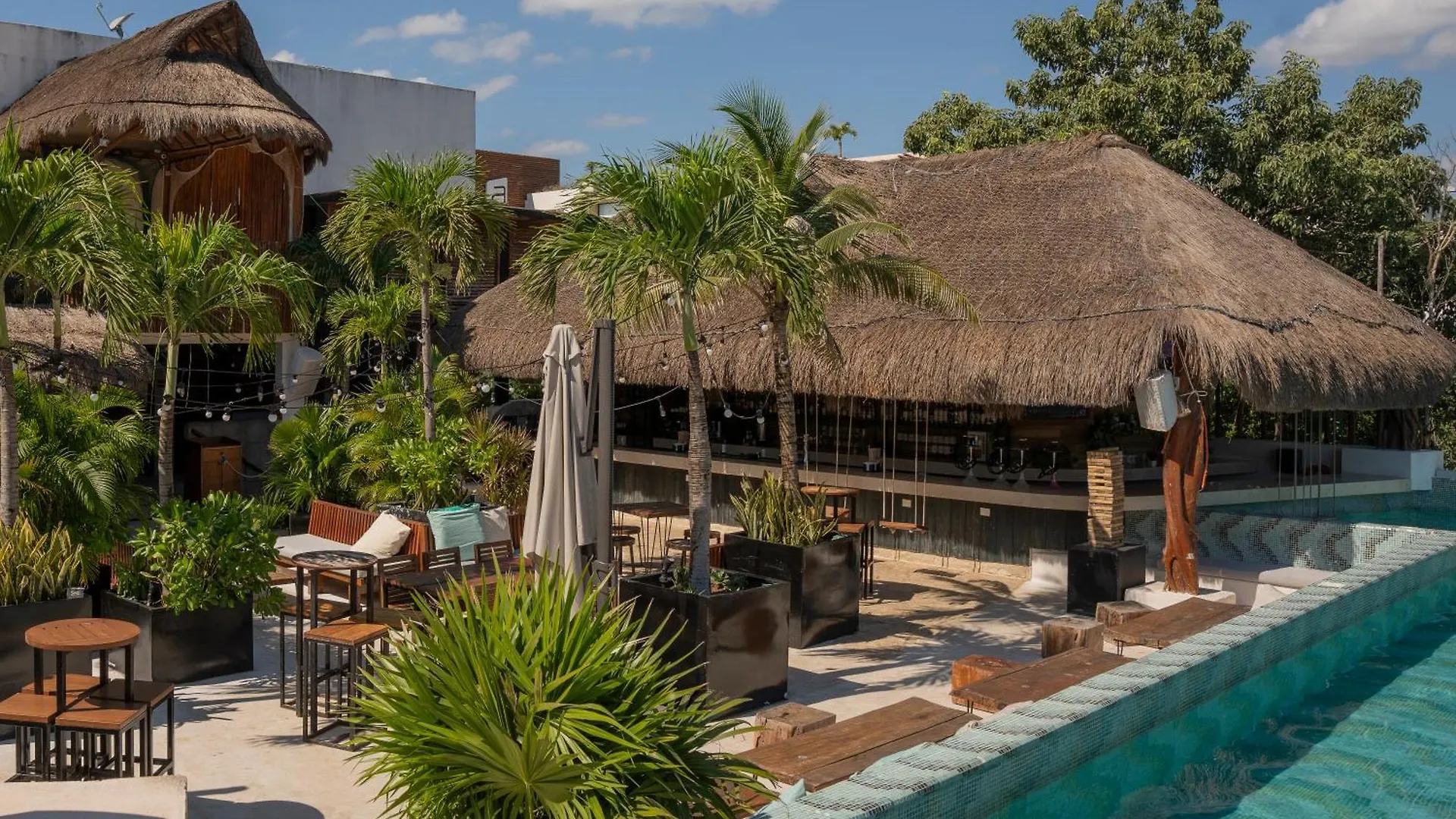 Hostel Mayan Monkey Tulum - Social Hotel (Adults Only)